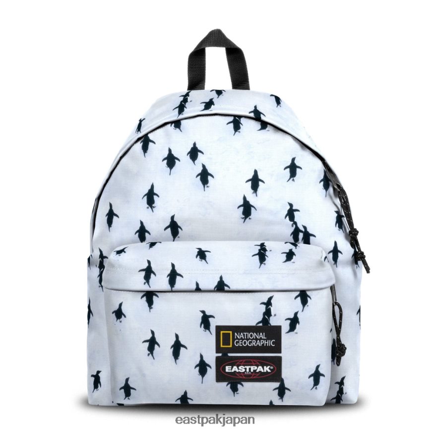 eastpak_jprzl7_e38390e38383e382afe38391e38383e382af_e38391e38383e38389e585a5e3828ae38391e38383e382afe383ab_e3839ae383b3e382ae.jpg Eastpak JPRZL7 バックパック パッド入りパックル ペンギン - 画像 (1)