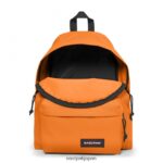 Eastpak JPRZL54 バックパック パッド入りパックル オーガニックオレンジ - 画像 (3)