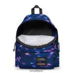 Eastpak JPRZL8 バックパック パッド入りパックル 魚は駄目だ - 画像 (4)